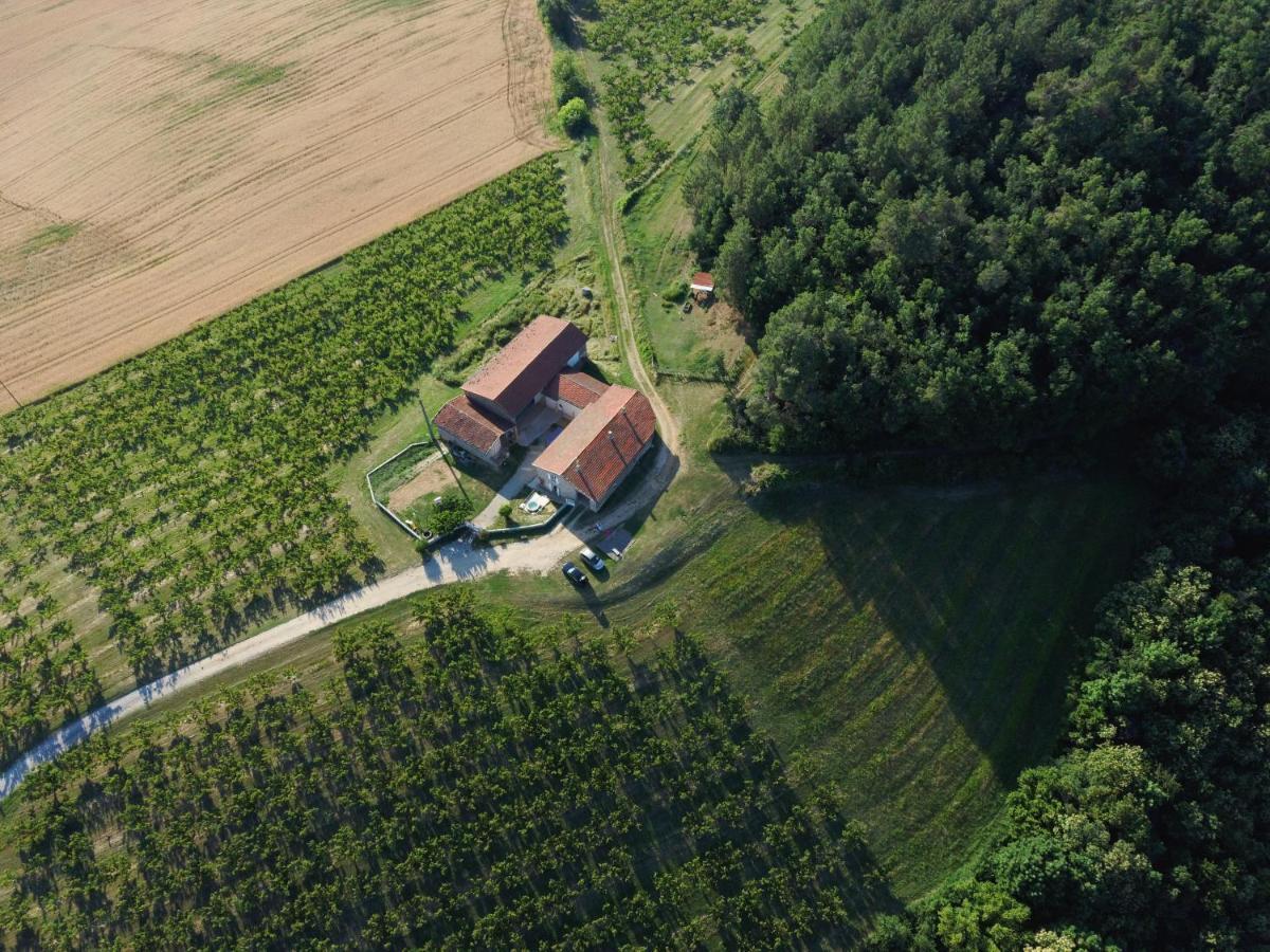 Studio Au Coeur De La Nature Bren Buitenkant foto